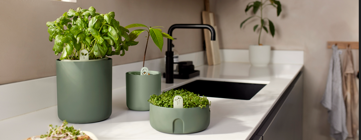 amazing avocado pot linnen wit